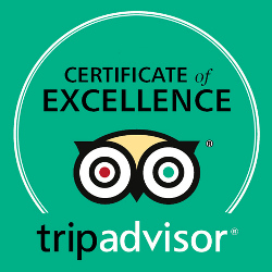 Tripadvisor Certificate of Excellence Winner